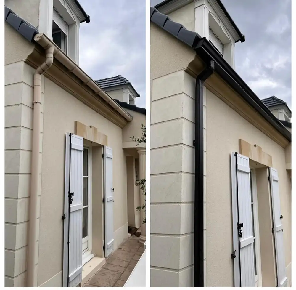 Changement gouttière Brétigny-sur-Orge 91220