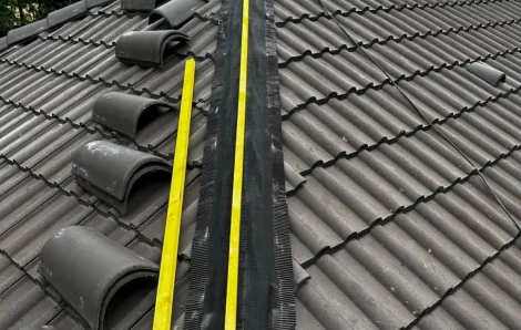 Changement tuiles faîtières Linas 91310